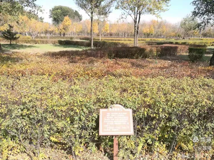 2018年10月8日之口泉植物园一游